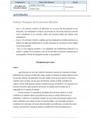 Trabajo: Principios de los derechos laborales