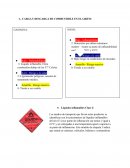 CARGA Y DESCARGA DE COMBUSTIBLE EN EL GRIFO