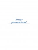 Ensayo psicomotricidad