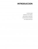 LA FIESTA DE LA VIRGEN DE LA CANDELARIA