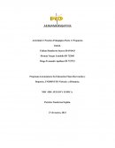 Actividad 3: Practica Pedagógica Parte 1: Propuesta Inicial