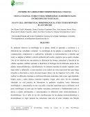 INFORME DE LABORATORIO MORFOFISIOLOGIA VEGETAL