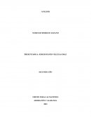 Análisis Adoración