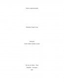 Valores Organizacionales