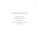 Taller Indicadores de Seguridad y Salud en el Trabajo