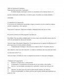 Taller de Negociación Estratégica