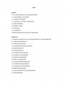 PROYECTO DE INVERSION CALZADO