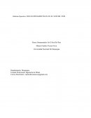 ROCAS ORNAMENTALES EN EL SUR DEL PAÍS