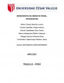 Monografía de derecho penal