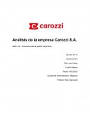 Análisis de la empresa Carozzi S.A.