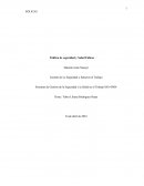 Política de Seguridad y Salud en el Trabajo de Eólicas