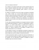 ¿Qué es el cartesiano-newtoniano?