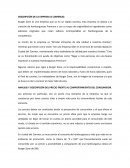 ANALISIS BURGER ZONE