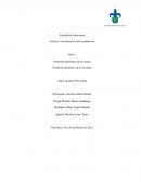 Potencial Epistémico