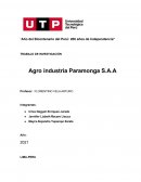 TRABAJO DE INVESTIGACIÓN Agro industria Paramonga S.A.A
