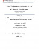 ANAMNESIS NEUROPSICOLÓGICA