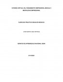 EJERCICIO PRACTICO IDEAS DE NEGOCIO. ICE CREAM CREAMS JBD