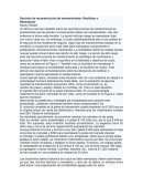 Decisión de reconstrucción de mantenimiento: Reutilizar o Reemplazar