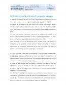 Reflexión sobre la película «El pequeño salvaje»