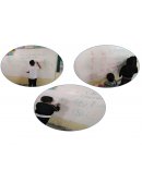 FRACCIONES SECUENCIA Y OBSERVACION