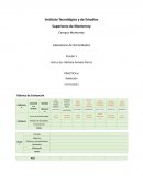 PRÁCTICA 6 Radiación