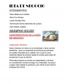 SHAMPOO SOLIDO .CARATERISTICAS DE LA IDEA DE NEGOCIO