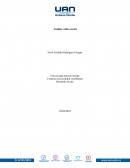 Analisis sobre la crisis migratoria venezolana