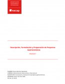 Descripción, Formulación y Preparación de Proyectos Gastronómicos. Empresa “Magnolia”