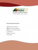 Ensayo sobre la Gestión de Proyectos