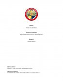 Práctica #12 Conservacion de la Energia Mecanica