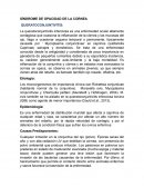 SÍNDROME DE OPACIDAD DE LA CORNEA