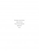 Fisica proceso industriales. Movimientos: Leyes de Newton