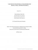 CASO PRÁCTICO TRANSVERSAL DE TRANSFORMACIÓN DIGITAL: TOYSA