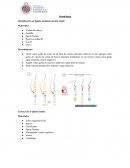 Metodología Identificación de lípidos mediante tinción simple