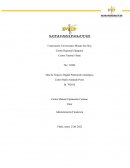 Idea de Negocio Digital Planeación estratégica