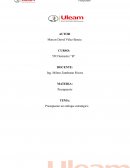 Presupuesto un enfoque estratégico