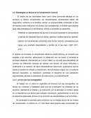 Estrategias en Busca de la Comprensión Lectora