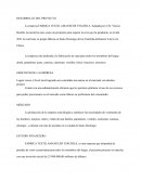 PROYECTO FABRICA TEXTIL AMANECER TSÁCHILA