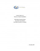 Desarrollo de la pericia y la valuación