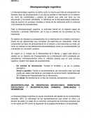 Neuropsicologia cognitiva