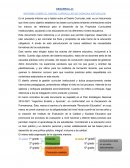 INFORME SOBRE EL DISEÑO CURRICULAR DE CIENCIAS NATURALES