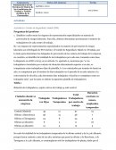 Actividad Comité de Seguridad y Salud