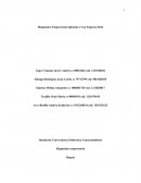 Diagnóstico Empresarial Aplicado a Una Empresa Real