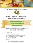 Tesis JABON ARTESANAL