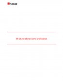 Mi futuro laboral como profesional