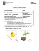 PRUEBA DE CIENCIAS NATURALES