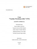 Caso “Vaseline Petroleum Jelly”