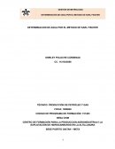 DETERMINACIÓN DE AGUA POR EL METODO DE KARL FISCHER