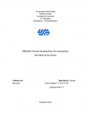 Informe de Farmacotecnia