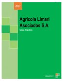 Auditoría De Sistemas De Información